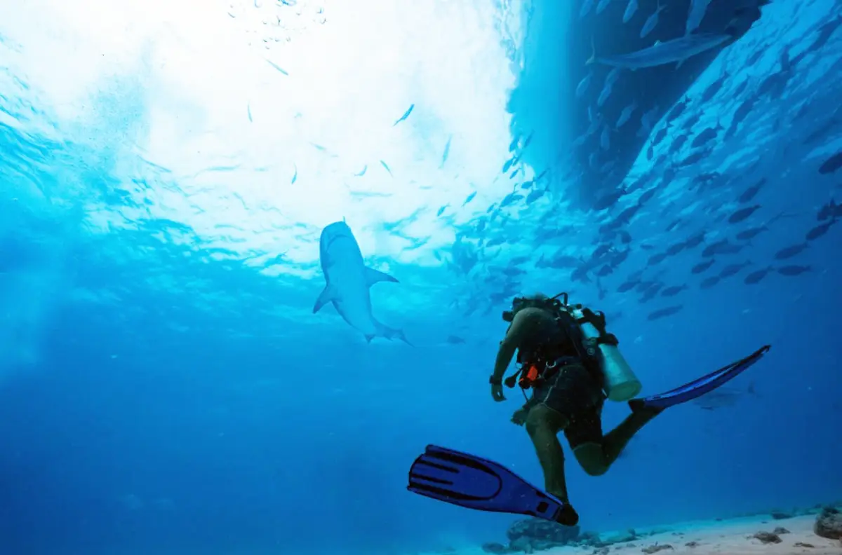 North Malé Atoll, Maldives